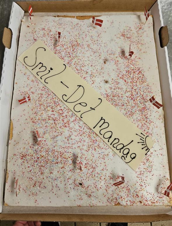 Hel plade hindbærsnitte